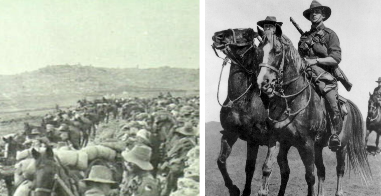 The 3rd Light Horse Regiment and the Australian light horsemen