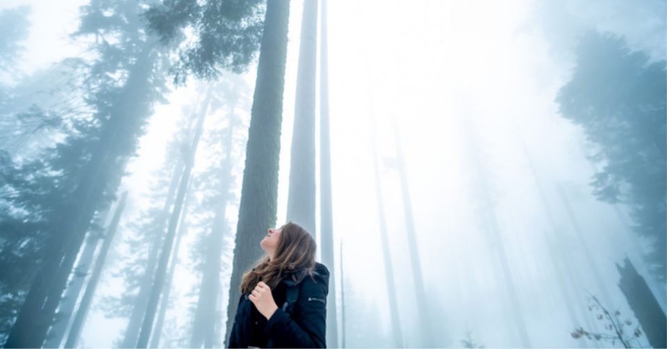 Lady in foggy forest looking up at tree tops
